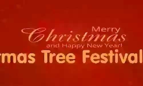 Christmas Tree Festival